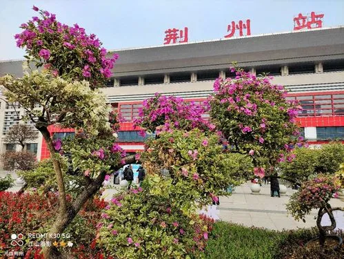 邯郸到荆州物流公司-货运专线-价格优惠