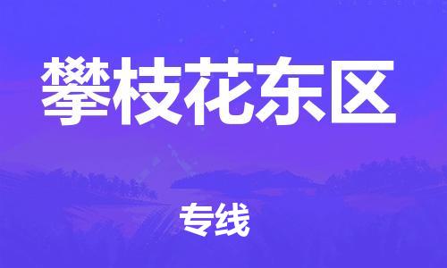 邯郸到攀枝花东区物流公司-行李托运专线-上门服务